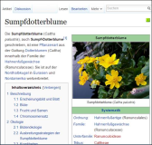 Pflanzen: SumpfDotterBlume